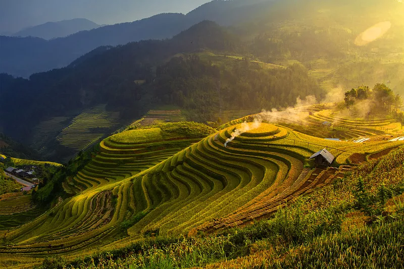 住宅代理IP详解：原生属性与应用价值解析