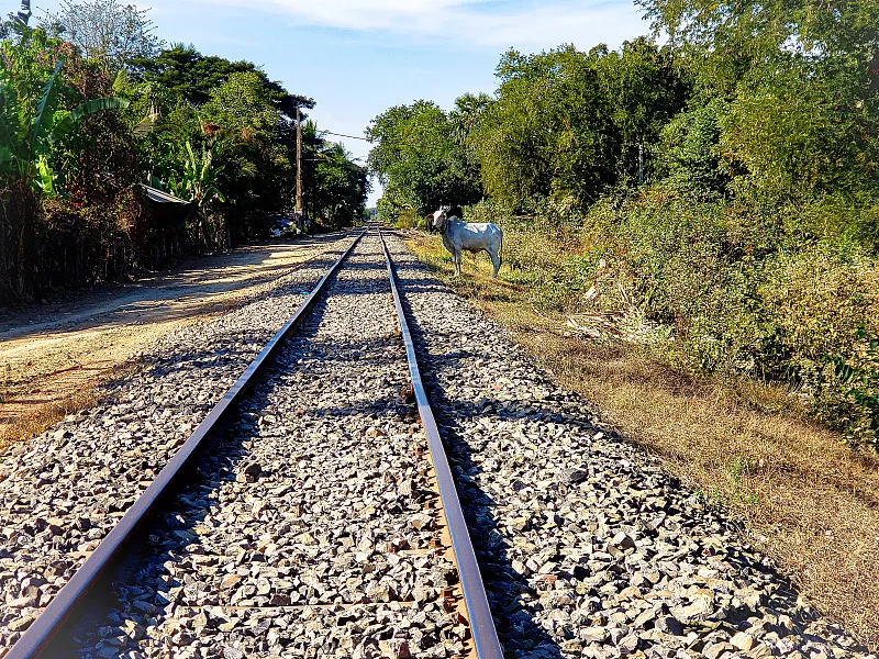代理IP与线路的区别与联系：网络通信中不可忽视的关键要素