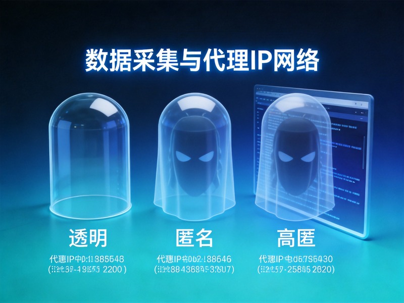 住宅代理IP vs 数据中心代理IP：深度对比与选型指南