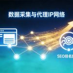 代理IP协议对比：HTTP、HTTPS与SOCKS5区别与适用场景